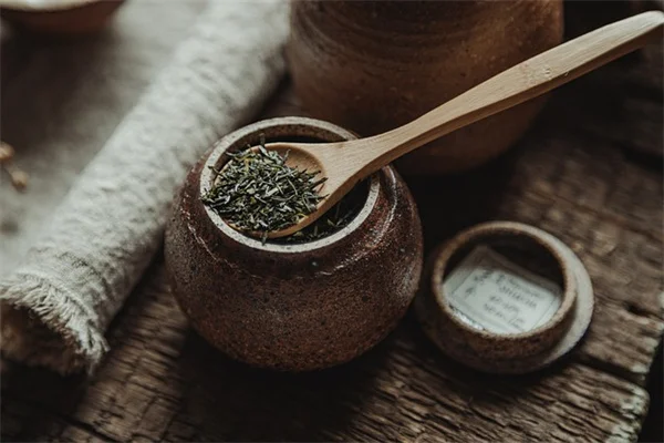 ほったらかしでOK！紫の花で簡単おしゃれ花壇を作るコツ