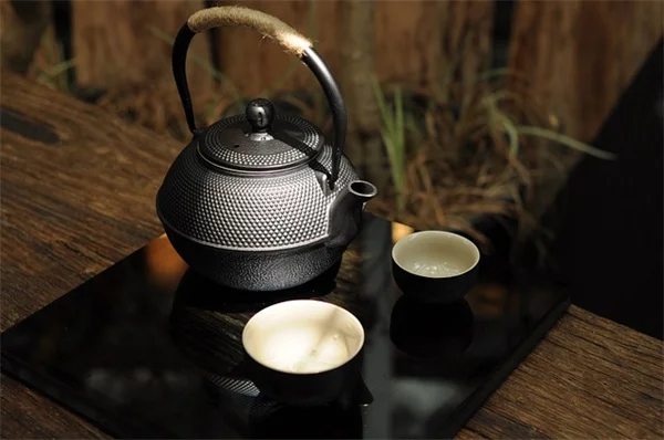 砂質土壌・全日照でも育つ！5つのコツで豊かな庭を作る方法
