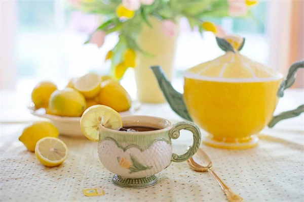 東向きの庭で失敗しない！おすすめ植物と育て方のコツ