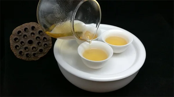 東向きの庭で失敗しない！おすすめ植物と育て方のコツ